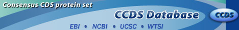 CCDS banner